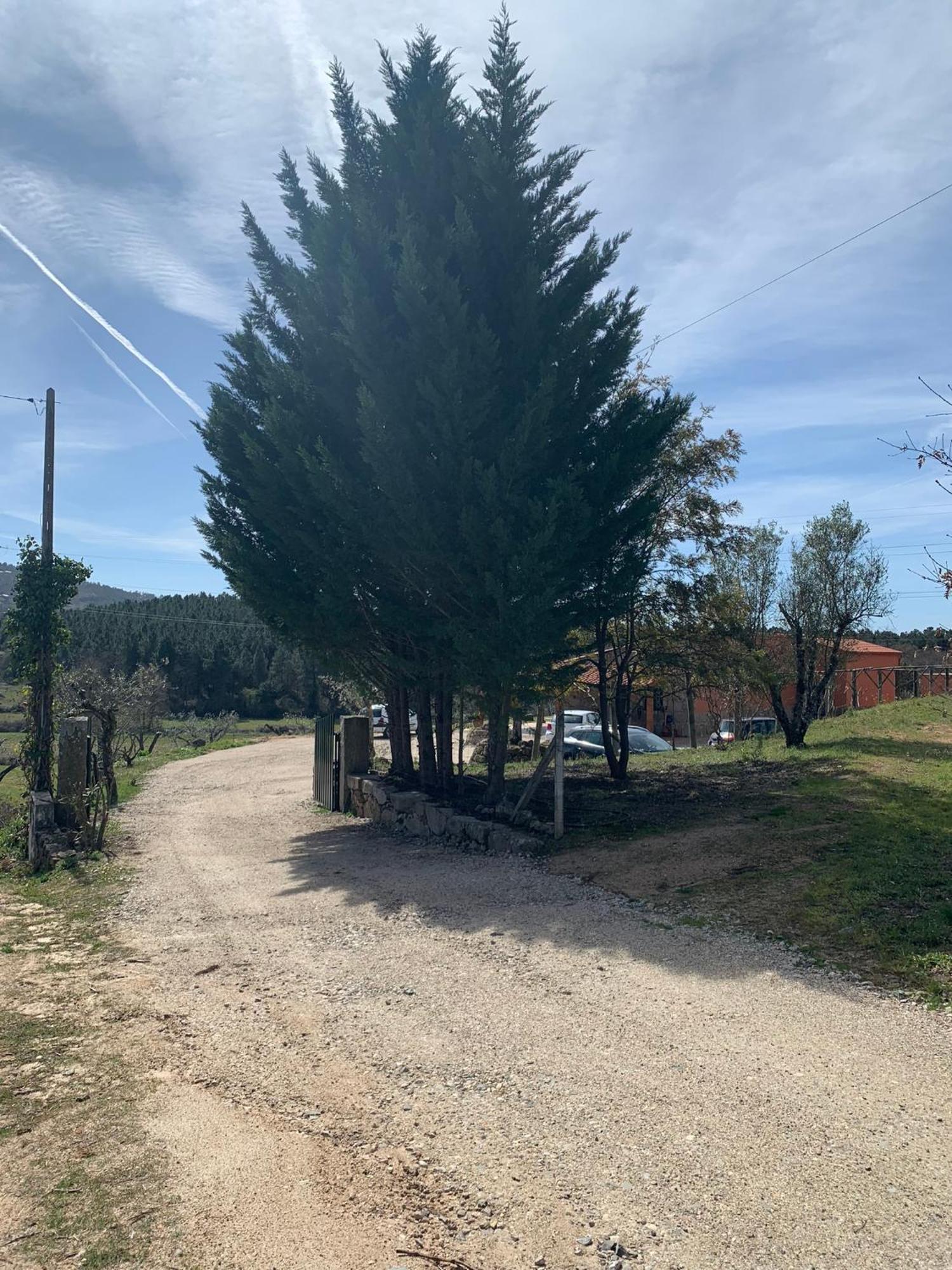 Quinta Dos Cedros L Turismo Rural كوفيلهَ المظهر الخارجي الصورة